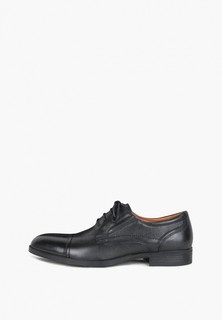 Туфли Pierre Cardin