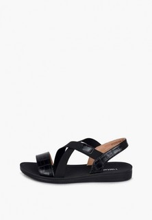 Сандалии T.Taccardi