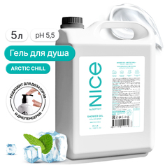 Гель для душа Nice by Septivit Arctic Chill 5л