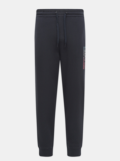 Спортивные брюки Armani Exchange