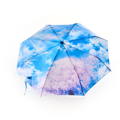 Зонт женский Raindrops RDH05733839 голубой