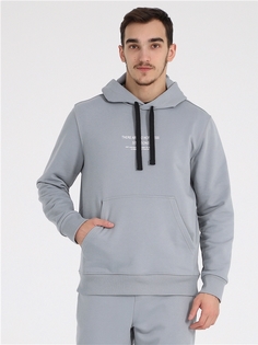 Худи мужское Апрель 1МДХД4280335 серое 104/176