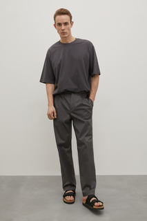 Брюки мужские Finn Flare FSD21009 серые S