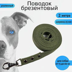 Поводок для собак Хвостатыч с усиленным карабином, брезент, зеленый 2 м х 25 мм