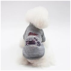 Толстовка для собак и кошек Arnydog Байк, унисекс, полиэстер, серый, размер M Аrnydog