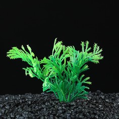 Искусственное растение для аквариума и террариума Пижон Аква до 9 см 5 шт