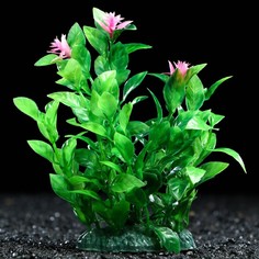 Искусственное растение для аквариума и террариума Пижон Аква зелёное 11 см 3 шт