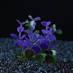 Искусственное растение для аквариума Пижон Аква кустовое фиолетовое 10 см 2 шт