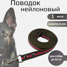 Поводок для собак Хвостатыч с карабином, зелено-красный, нейлон, 1 м х 25 мм