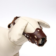 Намордник для собак Пижон коричневый из кожи длина по носу 5 см обхват морды 15-22 см №2