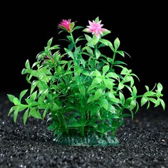 Искусственное растение для аквариума и террариума Пижон Аква зелёное 11 см 3 шт