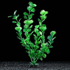 Искусственное растение для аквариума и террариума Пижон Аква зелёное 4х30 см 5 шт