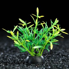 Искусственное растение для аквариума и террариума Пижон Аква зелёное 2,5х5 см 10 шт