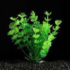 Искусственное растение для аквариума и террариума Пижон Аква зелёное 3х13 см 5 шт