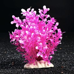 Искусственное растение для аквариума и террариума Пижон Аква 19 см 2 шт