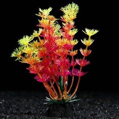 Искусственное растение для аквариума и террариума Пижон Аква оранжевое 3х13 см 5 шт