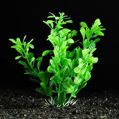 Искусственное растение для аквариума и террариума Пижон Аква зелёное 3х13 см 5 шт