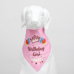 Платок для животных Пижон С днём рождения 15х12х1 см, розовый