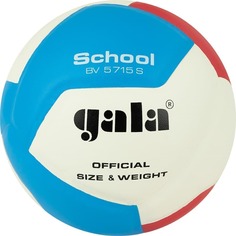 Gala SCHOOL 12 Мяч волейбольный 5