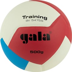Gala TRAINING HEAVY 12 Мяч волейбольный утяжеленный 5