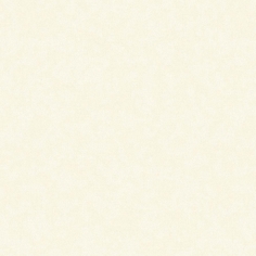 Обои AdaWall Ephes 5805-5 Винил на флизелине (1,06*10) Белый, Штукатурка