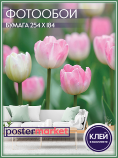 Фотообои бумажные Postermarket WM-80 Тюльпаны 254х184 см