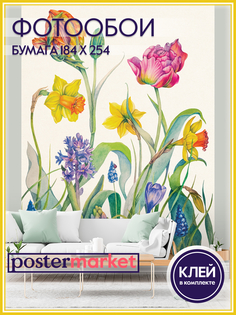 Фотообои бумажные Postermarket WM-148 Весенние цветы 184х254 см