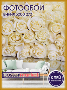 Фотообои виниловые Postermarket WM-254V1 Белые розы 300х270 см