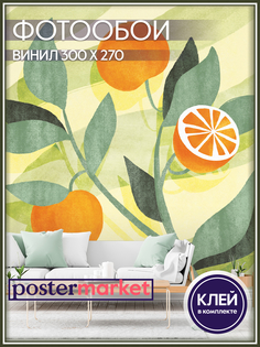 Фотообои виниловые Postermarket WM-294V1 Апельсины 300х270 см
