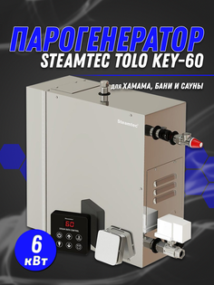 Парогенератор Steamtec TOLO-60-KEY (6 Квт), 220В (объем парной 5-7 м3)