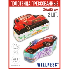 Полотенце прессованное WELLNESS, P47-46 АВТО НАБОР, 30x60