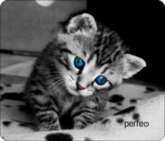 Коврик для мыши Perfeo (PF_D0655)
