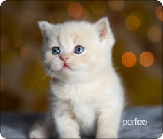 Коврик для мыши Perfeo (PF_D0658)