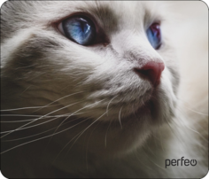 Коврик для мыши Perfeo (PF_D0669)