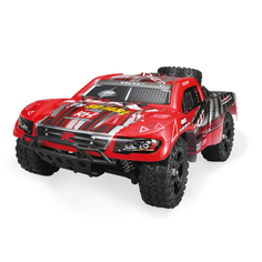 Радиоуправляемая игрушка Remo Hobby Rocket 4WD 1:16 RH1621