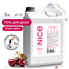 Гель для душа NICE by Septivit Cherry Berry 5л