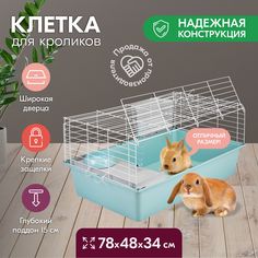 Клетка для кроликов PetTails складная, миска, 2 кормушки, бирюзовая, белая, 78x48x34 см