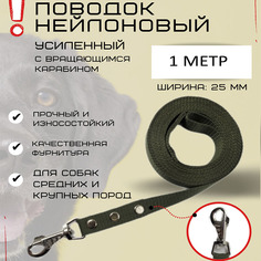 Поводок для собак Хвостатыч, усиленное крепление, карабин, нейлон, зеленый, 1 м х 25 мм