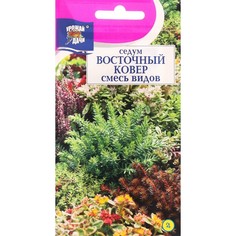 Семена цветов Седум "Восточный ковер", смесь, 0,015 г No Brand