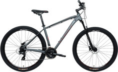 Велосипед Welt Raven 1.0 HD 29 2023 20 light grey
