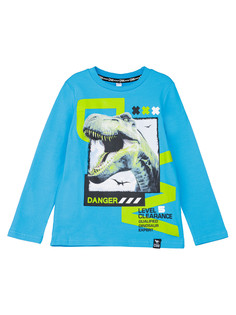 Фуфайка для мальчиков PlayToday (футболка), голубой,цветной, 116