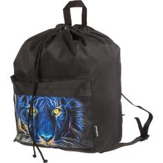 Рюкзак школьный ErichKrause Night Lion черный (57284)