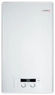 Настенный газовый котел Protherm Рысь НК 24