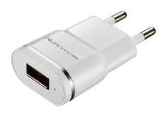 Зарядное устройство сетевое Canyon CNе-CHA01WS USB-A 1A, белый с серебром