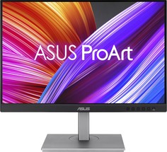 24.1" Монитор ASUS ProArt PA248CNV серый 75Hz 1920x1200 IPS