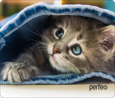 Коврик для мыши Perfeo (PF_D0648)