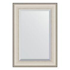 Зеркало с фацетом в багетной раме Evoform травленое серебро 95 мм 68х98 см