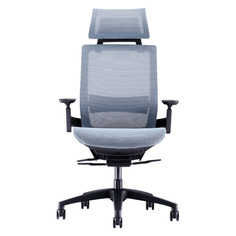 Ортопедическое офисное кресло Xiaomi 8H Youran No.1 Ergonomic Chair Excellent Blue (BY)