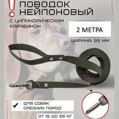 Поводок для собак Хвостатыч с цилиндрическим карабином, нейлон, зеленый, 2 м х 25 мм