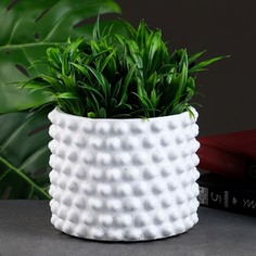 Цветочный горшок Take It Easy Точки 7387188 1,1 л белый 1 шт.